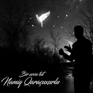 دانلود آهنگ بیر آرزو عت نامیک کاراکوکارلو